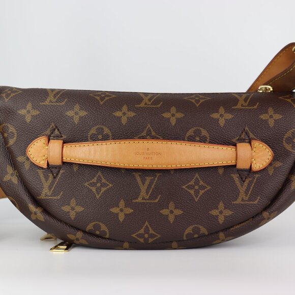 Louis Vuitton Monogram Bumbag - Picture 11 of 16